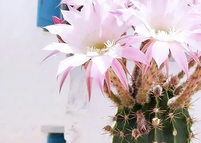 Island Magic - Seaview With Jacuzzi Pool Ampelas