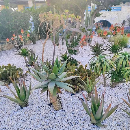 Vila Island Magic - Seaview With Jacuzzi Pool Ambelas