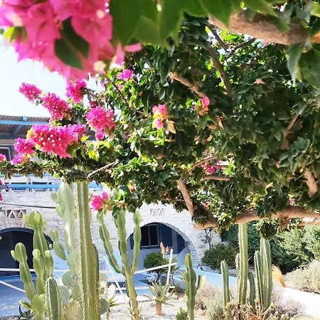 Island Magic - Seaview With Jacuzzi Pool Ambelas