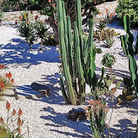 Vila Island Magic - Seaview With Jacuzzi Pool *