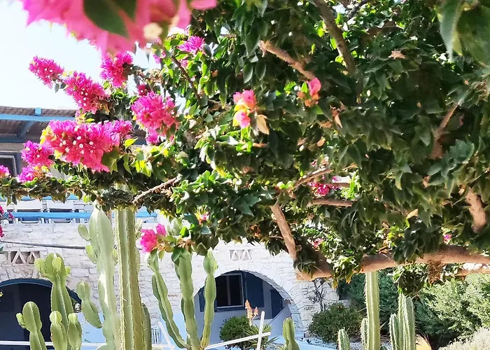 Island Magic - Seaview With Jacuzzi Pool Ampelas